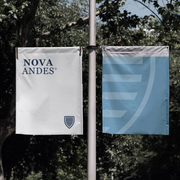Banderas de calle