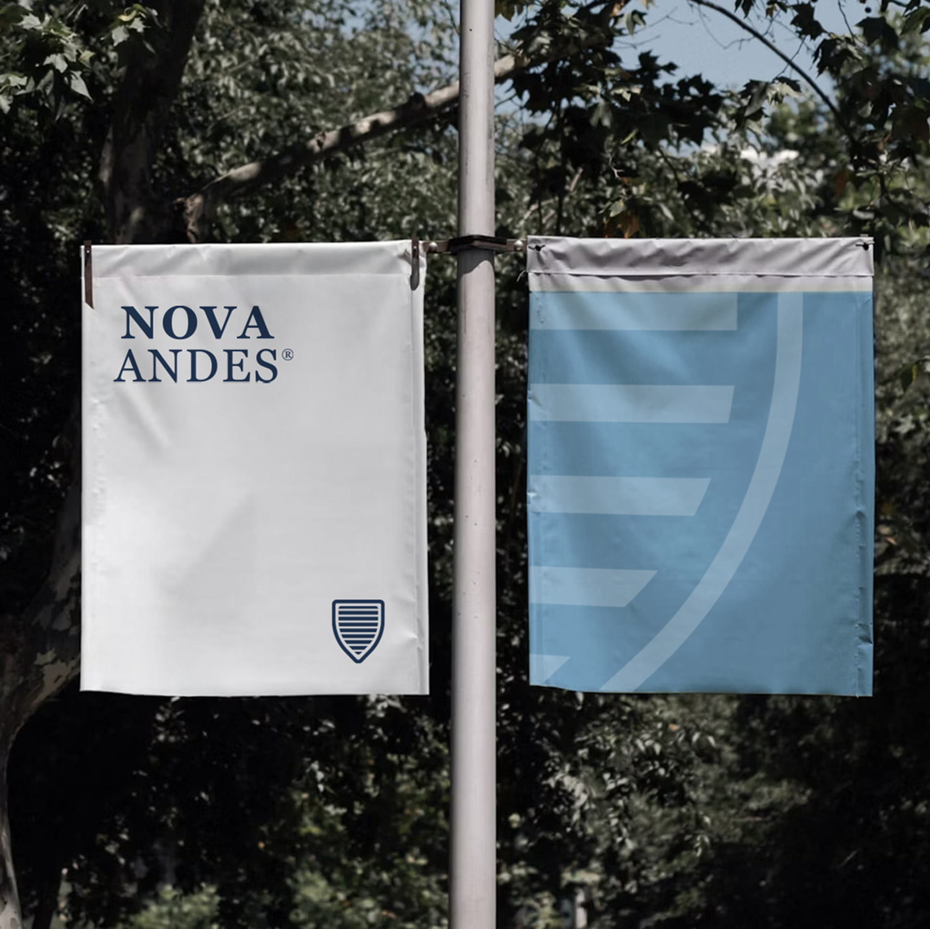Banderas de calle