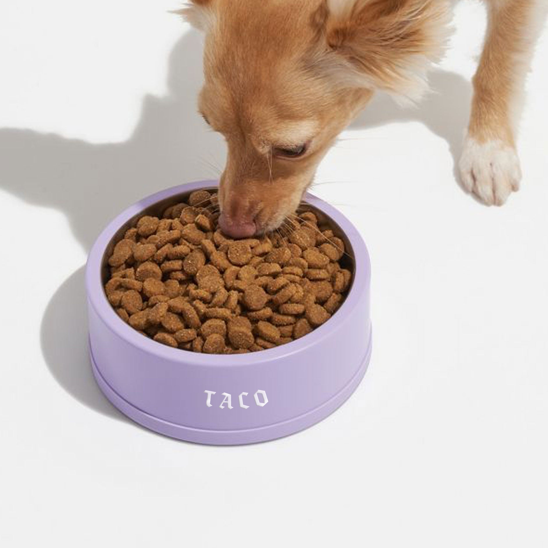 Tazas para mascotas